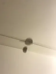 speddy34 webcam stripchat model stream image