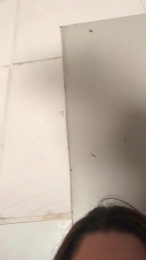 Jujugutierrys webcam model stream image