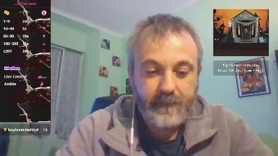 sonoboris webcam model stream image