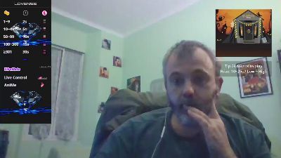 sonoboris webcam model stream image