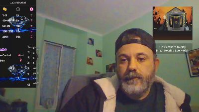 sonoboris webcam model stream image