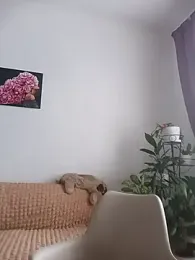 Women-pleasures webcam model stream image