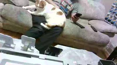 batmike webcam model stream image