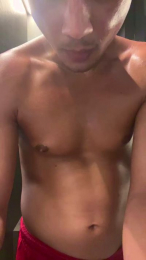 VVS667 webcam model stream image