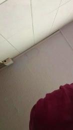 DiosaCarnal webcam model stream image