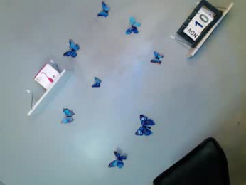 my_girl28 webcam model stream image