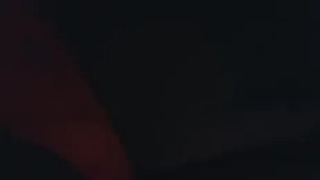 mr_danni webcam model stream image