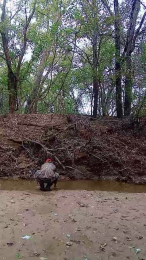 Brandonblt23 webcam model stream image