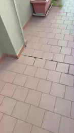 PierRimini webcam model stream image