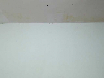 ParisAisha webcam model stream image