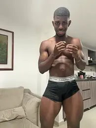 Превью Stevenstick_