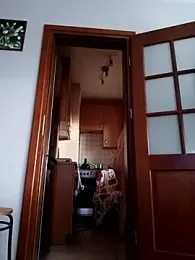 Misiopasyw1 webcam model stream image