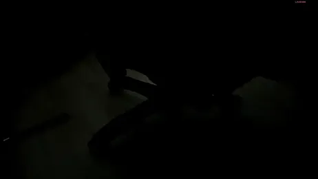 selene_red_ webcam model stream image