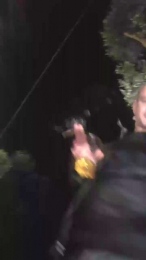 viola_viola webcam model stream image