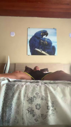 Pitufino81 webcam model stream image