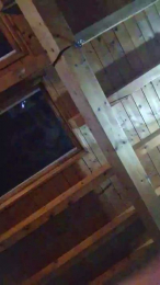 19bsx899 webcam model stream image