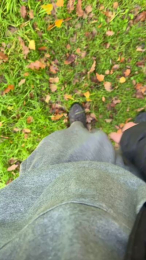 forza44 webcam model stream image