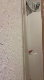 Lips1nD1ck webcam model stream image