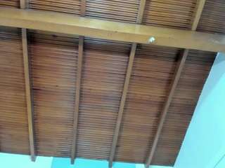 sofi-lane webcam camsoda model stream image