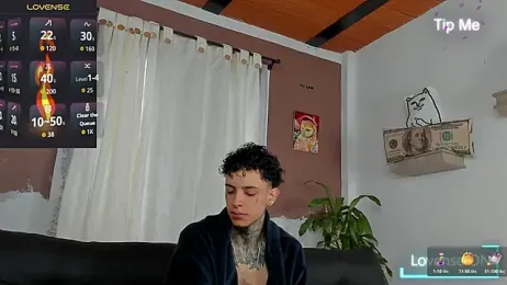 Aron_ford webcam model stream image