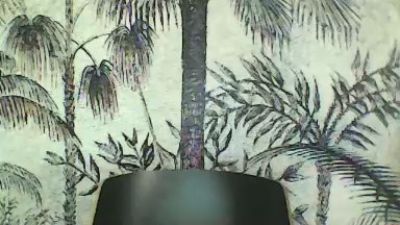 zpierre74 webcam model stream image