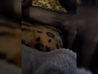 fierynight77 webcam model stream image