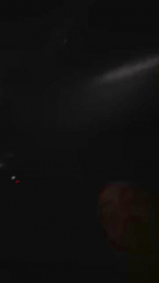 Ciccio_porcello webcam cam4 model stream image