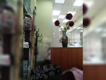 Agnes7700 webcam model stream image