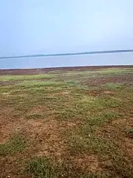 telugumodda4396 webcam model stream image