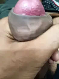 siddBus webcam model stream image