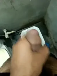 siddBus webcam model stream image