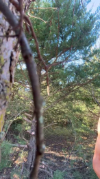 BigDjunior8 webcam model stream image