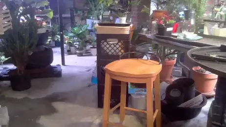 MeatDaddy38 webcam stripchat model stream image