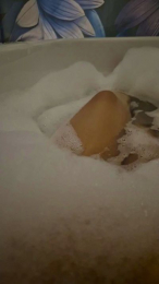 Stephaniemami webcam model stream image