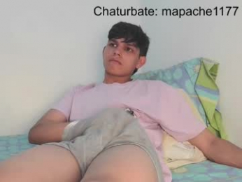 mapache1177 webcam model stream image