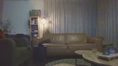 westerr webcam model stream image