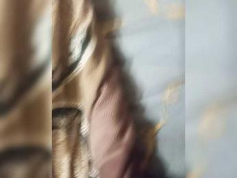 parapapa13 webcam model stream image