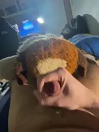 Alessandro_478 webcam model stream image