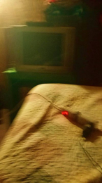 Andy29196 webcam model stream image