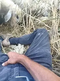 murokkk31 webcam model stream image