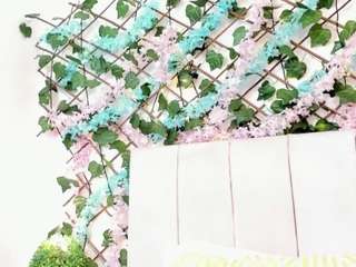 lexibloom webcam model stream image