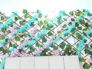 lexibloom webcam model stream image