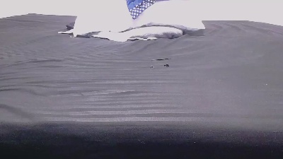 sir_kev66 webcam model stream image