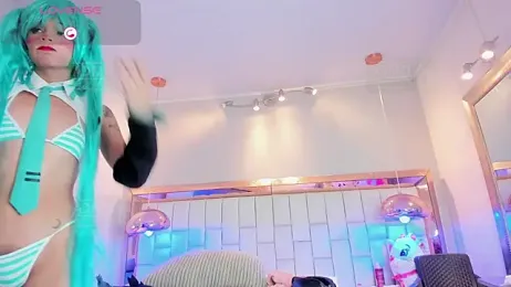 Palmer-Foster webcam model stream image