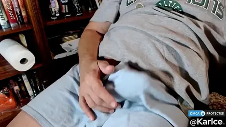 karlce webcam model stream image