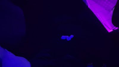 koelnmann webcam model stream image