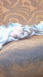 Semental022 webcam model stream image