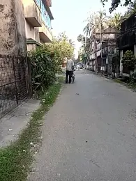 ckarmakar15 webcam model stream image