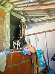 Hannah-grace webcam stripchat model stream image