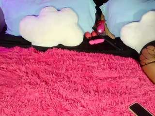 promiselux webcam model stream image